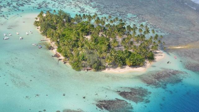 Uturoa Pension Hibiscus Tahaa المظهر الخارجي الصورة